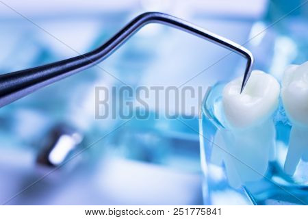 Dentist Cleaning Teeth