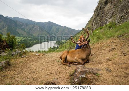 A Young Red-haired Girl Dressed In Sports Clothes Stroking The Horns And Skin Of A Deer Maral Who Li