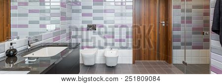 New Bathroom With Two Basins, Toilet And Bidet, Panorama