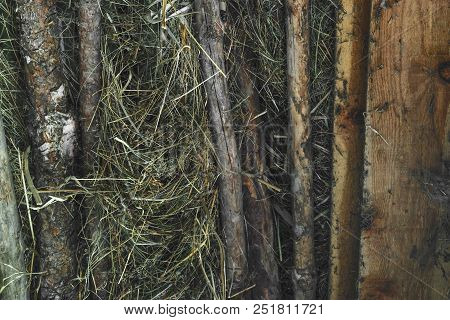 Old And Dry Wood Branches Placed In The Barn Attic Background Surface