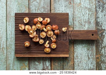 Edible Forest Mushrooms. Raw Slippery Jack Mushrooms (suillus Luteus) On Oak Cutting Board Copyspace