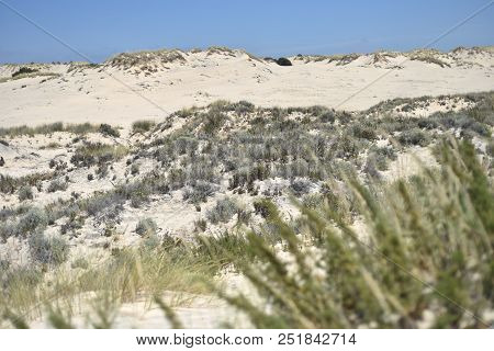 The Coto De Donana National Park In Andalusia, Spain