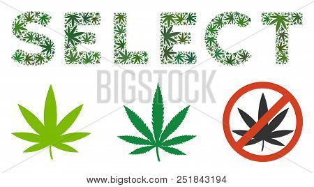 Select Caption Composition Of Marijuana Leaves In Different Sizes And Green Tinges. Vector Flat Gras