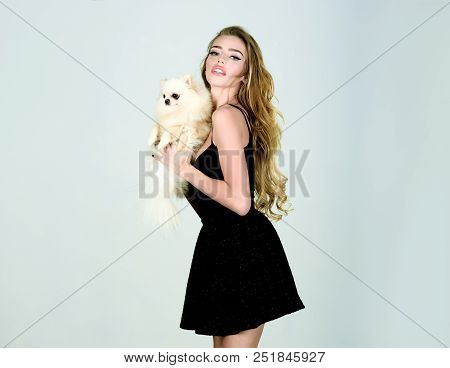 Stylish Girl In Little Black Dress With Dog In Hands. Woman With Pet Puppy. Beautiful Woman With Pom