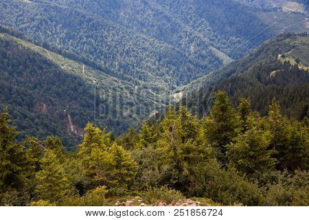 mountain view with green firs, Tibles,  Romania