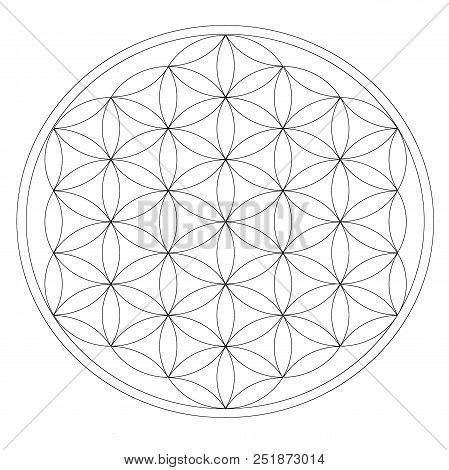 Circle Mesh For Unfolding Crystals For Meditation