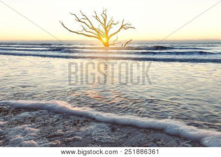 Sunrise At Botany Bay Beach, Edisto Island, South Carolina, Usa