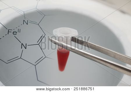 Blood In A Tube For Long-term Storage In Liquid Nitrogen Bank  For Cryostorage