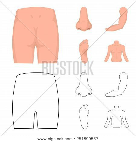 Buttocks, Nose, Arm, Foot. Part Of The Body Set Collection Icons In Cartoon, Outline Style Vector Sy