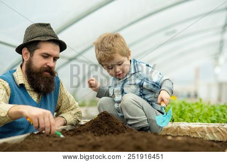 Botanic Worker. Botanic Worker Child With Father In Greenhouse. Farm Worker In Botanic Garden. Botan