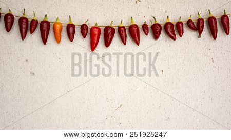 Necklace Of Fresh Ripe Chili Pepper Hanging To Dry In The Sun On A String. Gas Concrete Wall In Back