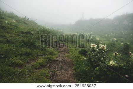 Scary Hiking Path In The Fog On Steep Mountain. Hiking Path Through Grass, Brienzer Rothorn Switzerl