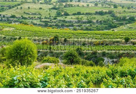 Omodos, Cyprus. May 2018. A View Of The Countryside Outside The Traditional Village Of Omodos In Cyp