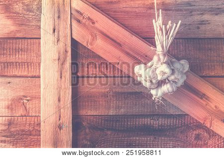 Bundles Of Fresh Garlic Dried On Vintage Wooden Wall
