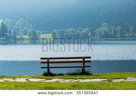 Titisee Black Forest Bench Water Lake Relaxen