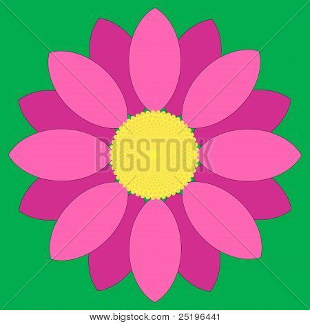 Pink Flower