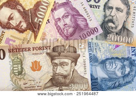 Hungarian Money - Forint, A Business Background