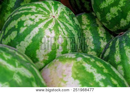 Watermelons On The Counter