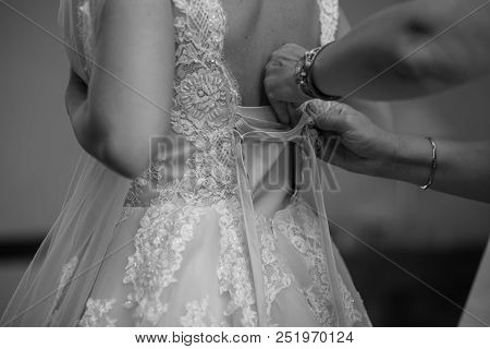 Beautiful Bride With Fashion Wedding Hairstyle - On White Background.closeup Portrait Of Young Gorge