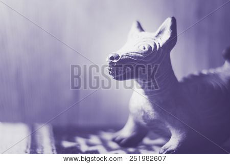 Traditional Indigenous Dog Handcraft From Oaxaca Mexico