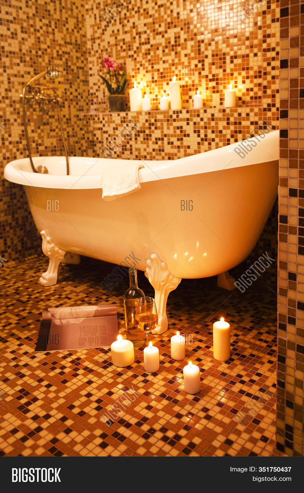 Luxury Vintage Bathtub Image & Photo (Free Trial) Bigstock