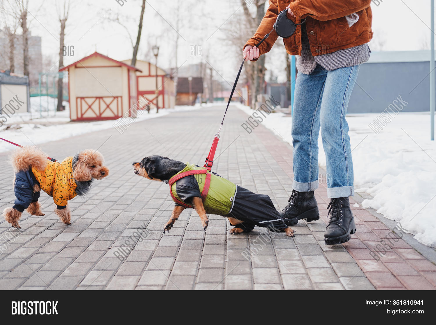 How To Deal With Leash Aggression In Dogs Furtropolis
