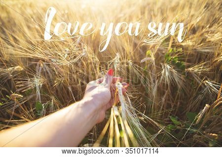 Girl Holds A Hand Sprout Wheat, Inscription Love You Sun.
