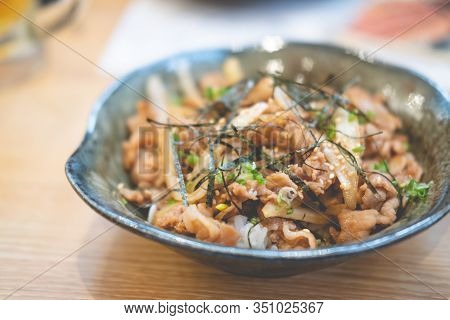 Grilled Slice Pork On Rice Bowl In Japanese Style Butadon. Japanese Food