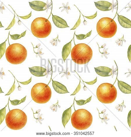 Watercolor Semless Pattern With Drawing Branches Of Orange Tree With Flowers, Leaves And Oranges At 