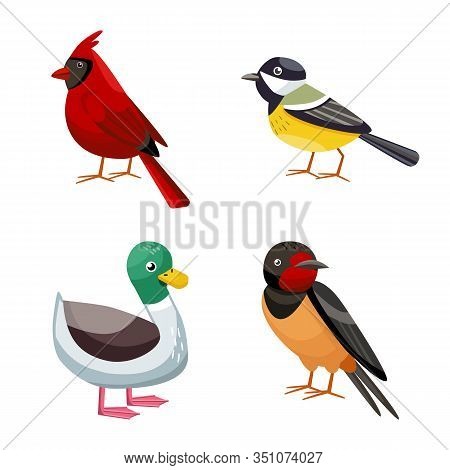 Isolated Object Of Animal And Wild Symbol. Set Of Animal And Nature Stock Vector Illustration.