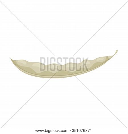 Bean Of Pod Vector Icon.cartoon Vector Icon Isolated On White Background Bean Of Pod.