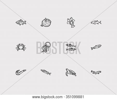 Aquatic Icons Set. Salmon And Aquatic Icons With Jellyfish, Lobster And Sardine. Set Of Crayfish For