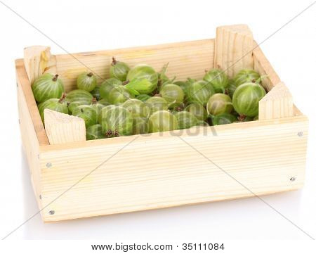 Grüne Stachelbeere in Kiste, isolated on white