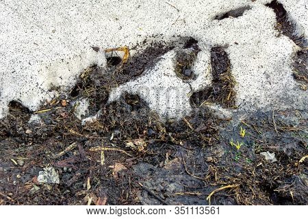 Spring Traces Of The Stay Of Mice - Burrows And Passages Between Holes Bursting Out Of The Snow, Sel