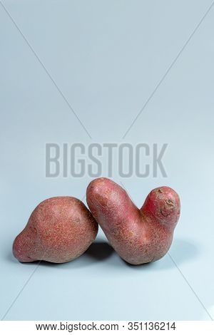 Two Non-standard Ugly Fresh Raw Potato Unusual Form On Light Blue Background. Waste Zero Food Concep