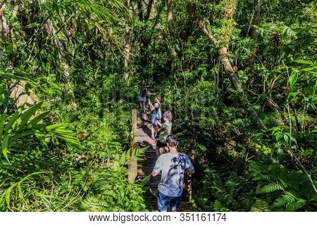 Granada , Nicaragua - March 07, 2018 : tourist walking in the forest trekking track of the Mombacho Volcano Granada in Nicaragua
