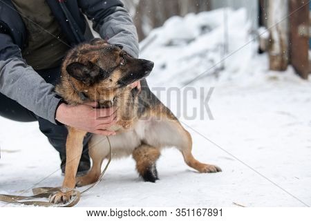Man Embraces Frightened, Wounded, Unhappy Three-legged Dog. Concept Of Volunteering And Animal Shelt