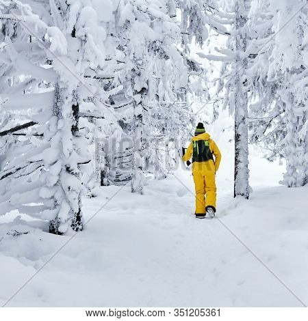Female Hiker Walking Through A Snowy Winter Forest, Looking At A Handheld Computer, View From The Ba