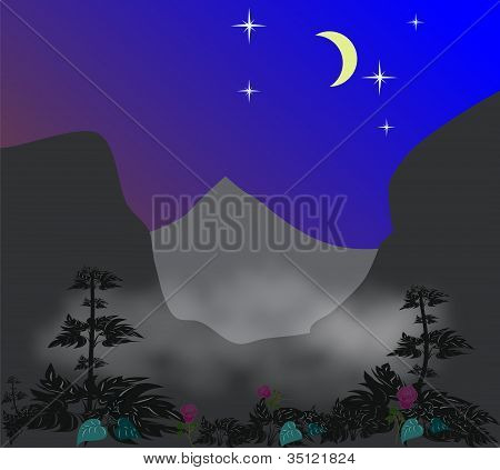 Fog­