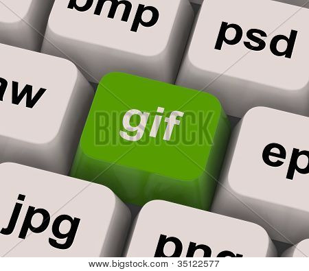 GIF-Taste zeigt Bildformat fÃ¼r Internet-Bilder