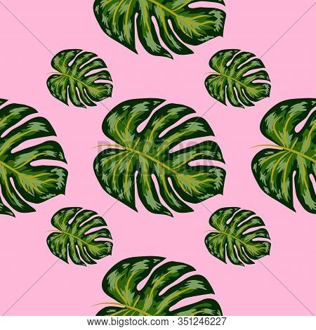 Tropical Pattern. Seamless Texture With Bright Hand Drawn Leaves Of Monstera.