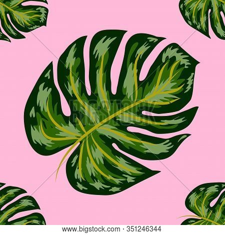 Tropical Pattern. Seamless Texture With Bright Hand Drawn Leaves Of Monstera.