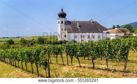 Monastery winery Thallern near Gumpoldskirchen, Lower Austria, Austria