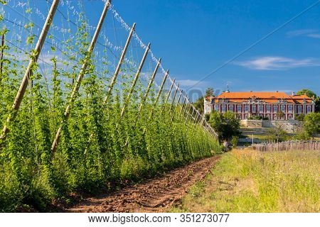 Rococo castle Steknik with hop field, Czech Republic