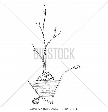 Wheelbarrow For The Garden Icon. Vector Of A Garden Wheelbarrow For Plants. Hand Drawn Wheelbarrow F