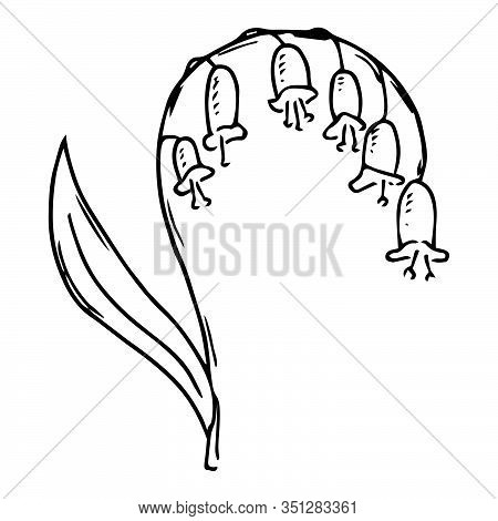 Lilies Of The Valley Icon. Vector Illustration Of Spring Lilies Of The Valley. Hand Drawn Flowers Li