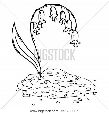 Lily Of The Valley Images, Illustrations & Vectors (Free) - Bigstock