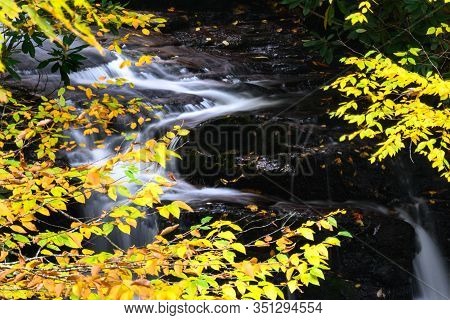 Water Spilling Down The Autumn Forest Floor