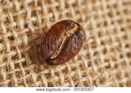 Coffee Roasted Bean On Knitted Fabric. Top View. Cllose Up.