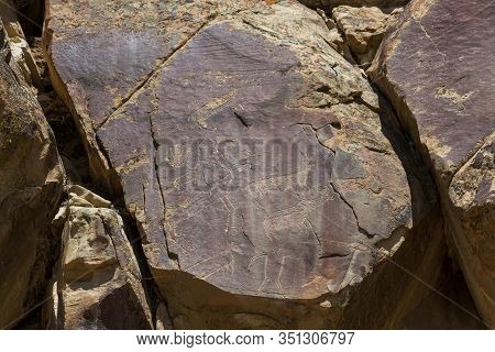 Ancient Petroglyphs Of Deer, Bighorn Sheep And A Man Like Figure Are Carved Into Sandstone Rocks At 